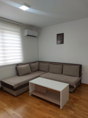 Apartman Pale - Biljana